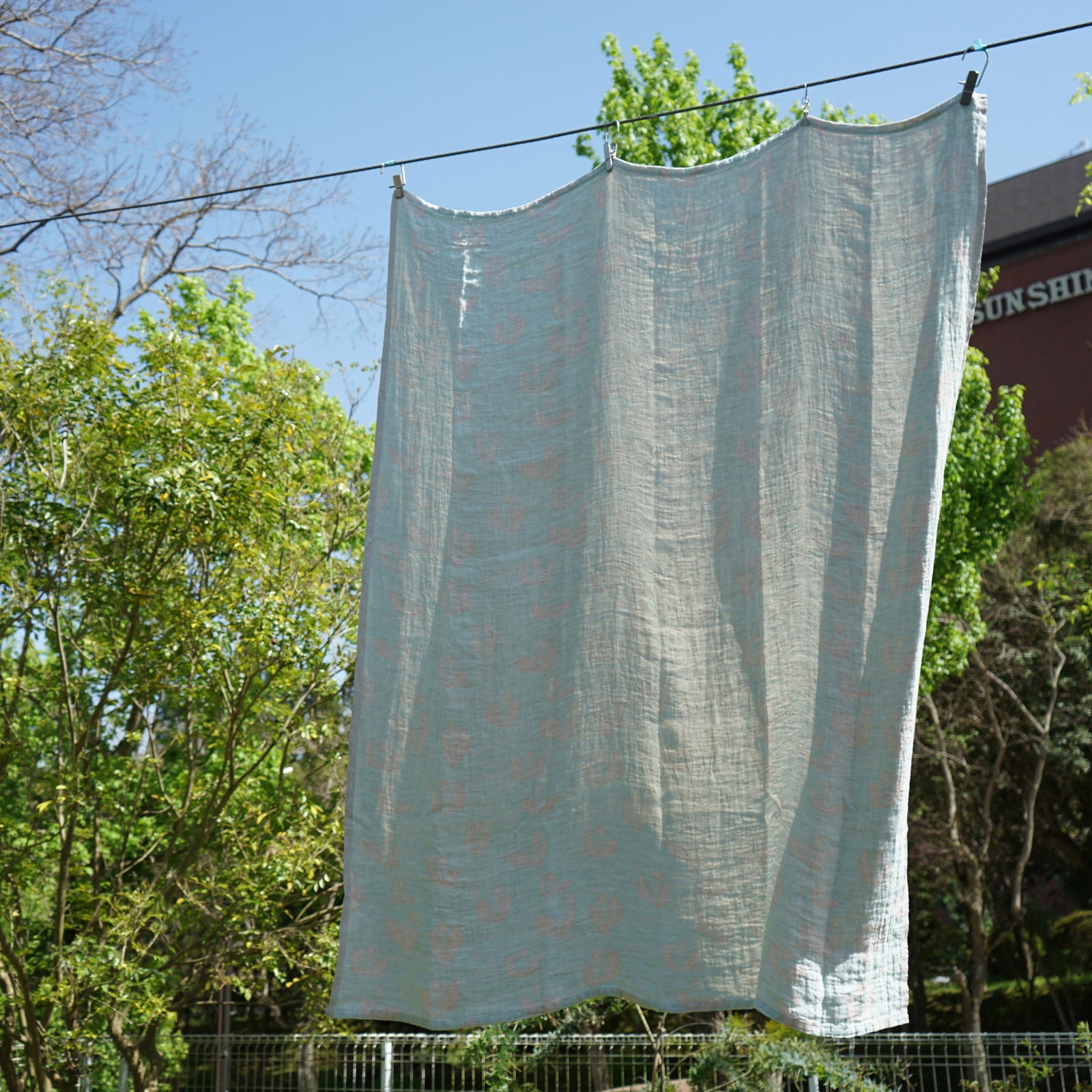 DSC05608_1600x.jpg?v=1713944969