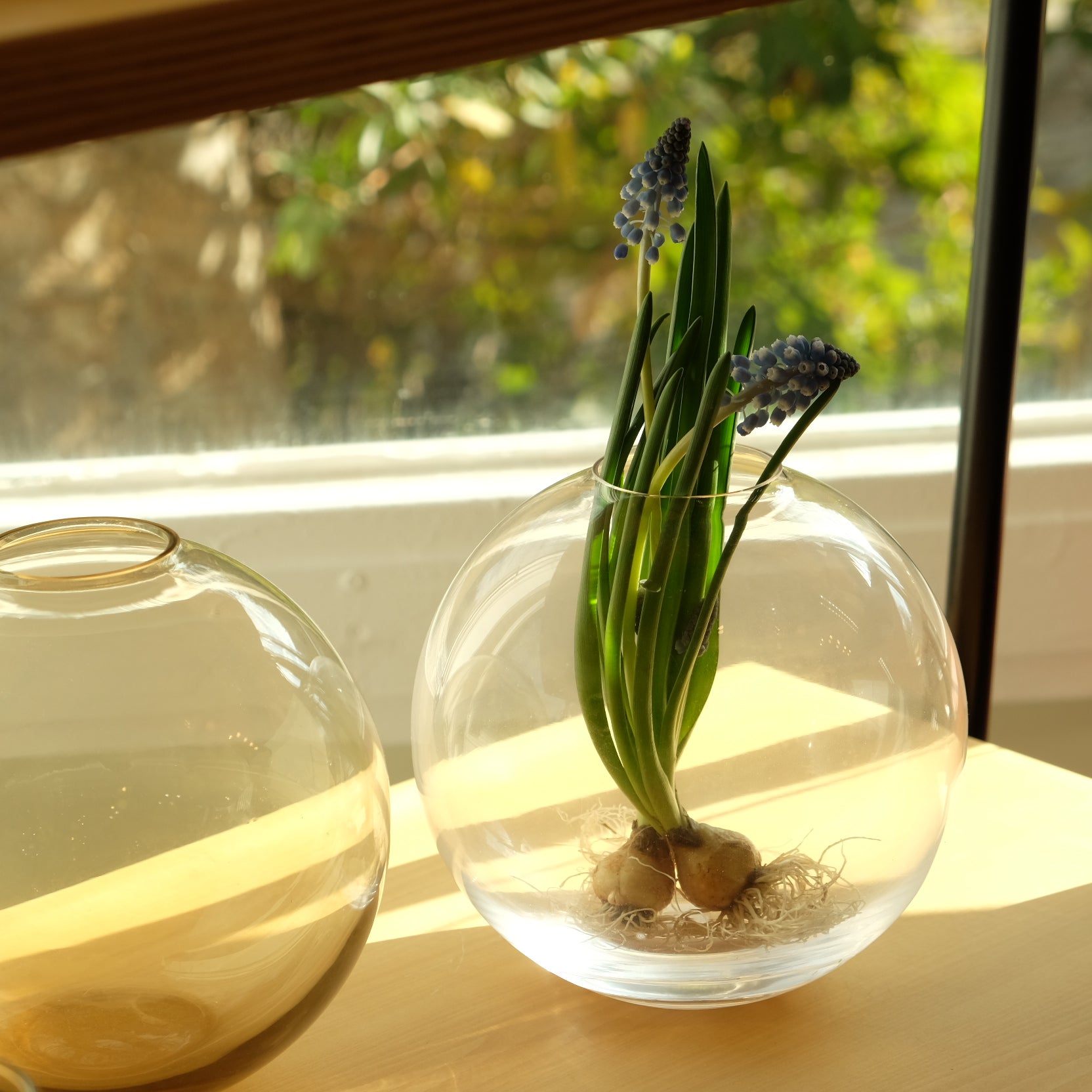 スガハラガラス・フラワーベース・トロフィー・花瓶・杯・スガハラ（Sghr） スガハラガラス・フラワーベース・トロフィー・花瓶・杯