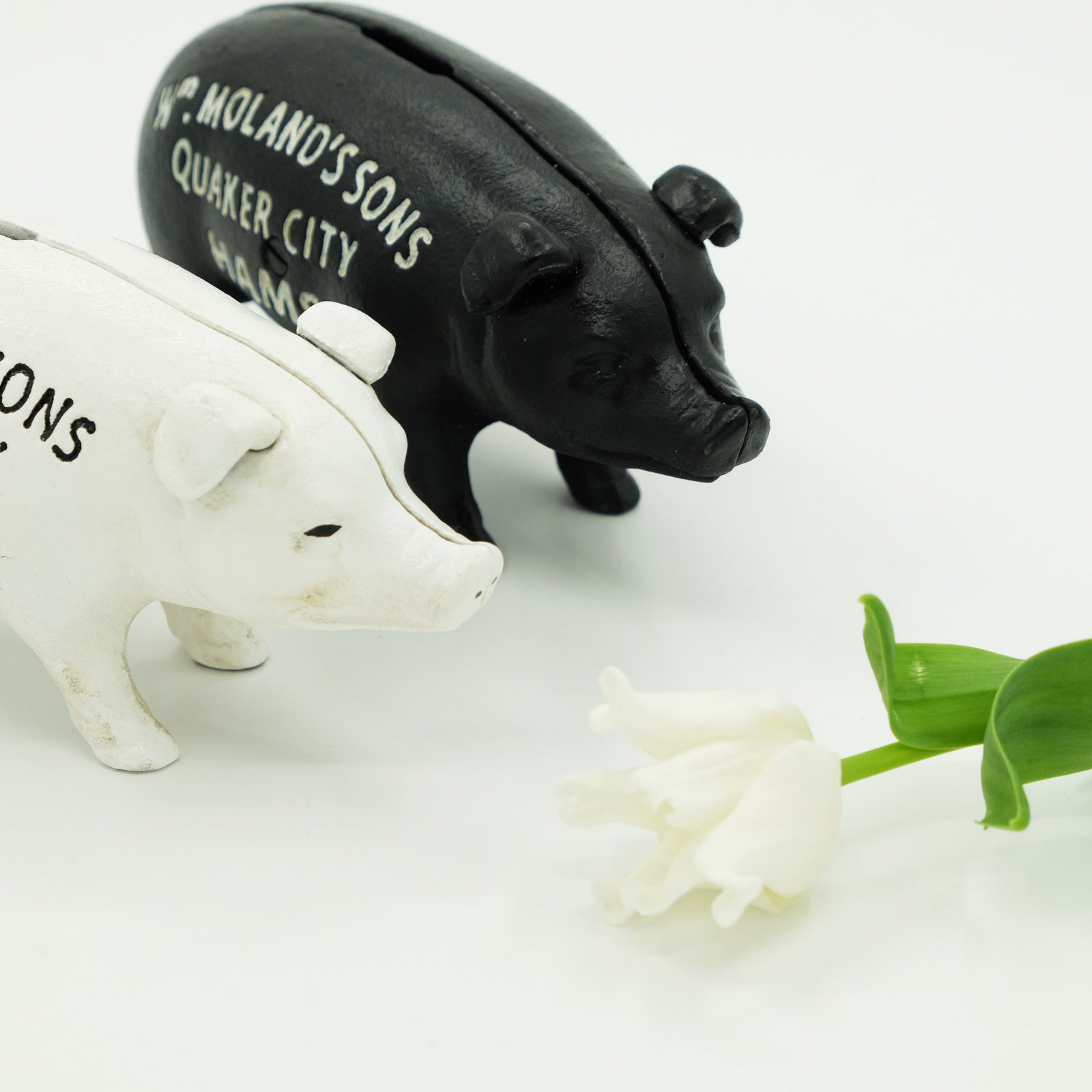 Hams Standing Pig Bank – Osmund Drive