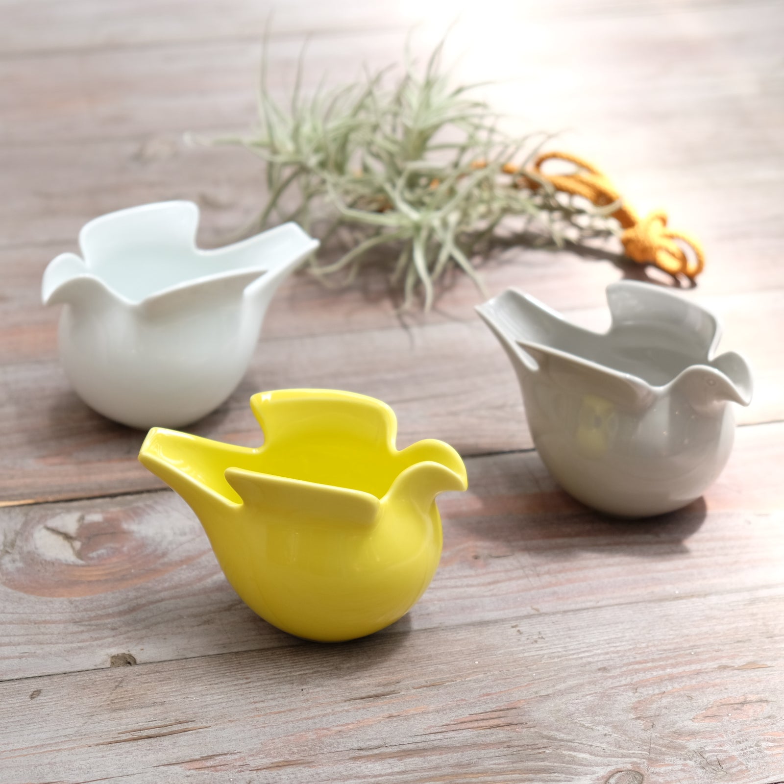 Lisa Larson×株式会社西山 duva(ドゥーバ) – Osmund Drive